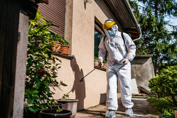 Best Insect Control  in Mount Washington, KY