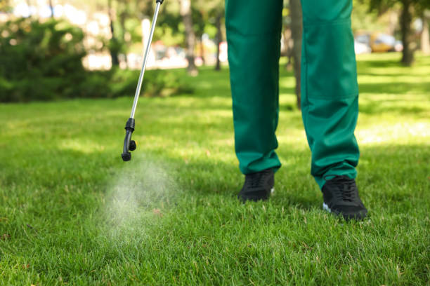 Best Flea Control Services  in Mount Washington, KY