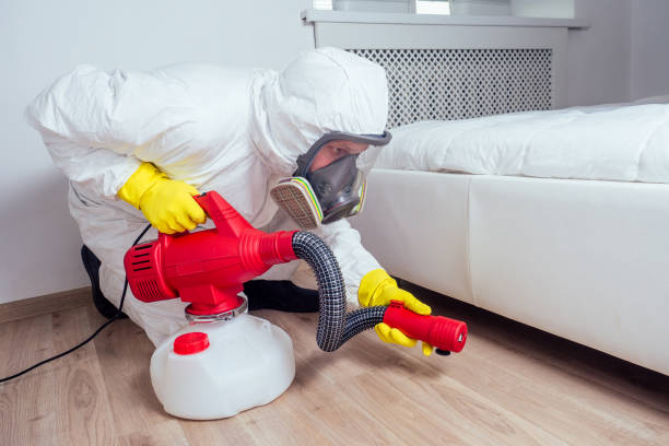 Best Mosquito Control Services  in Mount Washington, KY