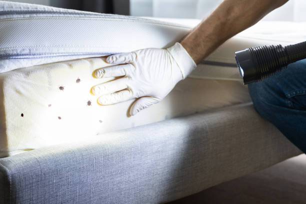 Pest Prevention Services in Mount Washington, KY