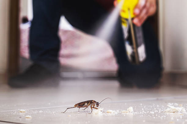 Best Ant Control Services  in Mount Washington, KY