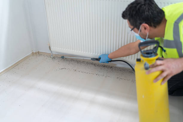 Best Commercial Pest Control Services  in Mount Washington, KY