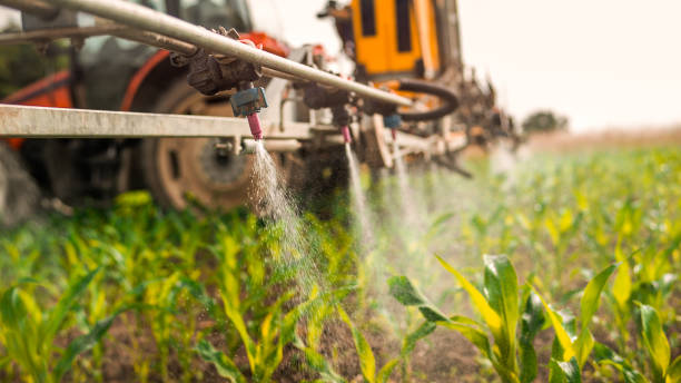 Pest Control Cost in Mount Washington, KY